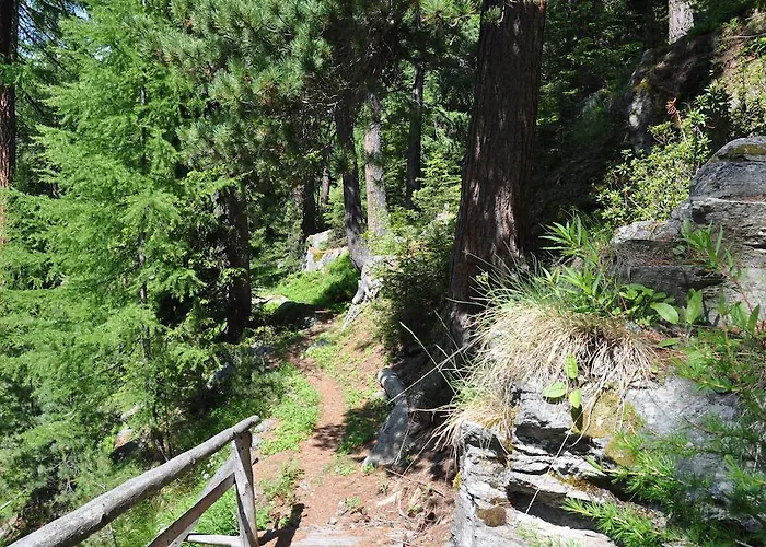 Gebidem 2* Visperterminen